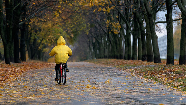 Fahrradfahrer im Herbst