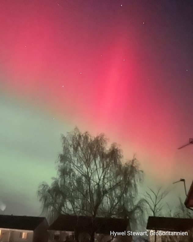 Red and green aurora borealis over houses and a tree. Night sky with clearly visible stars.