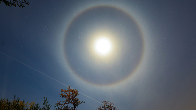 Heiligenschein um den Mond in fast sternklarer Nacht