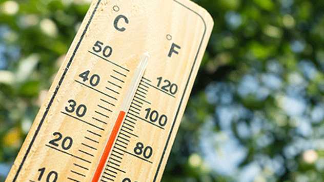 Thermometer zeigt knapp 39 Grad