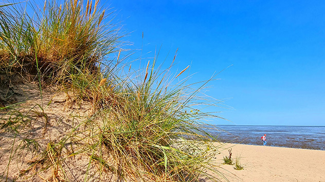 632_schillig_nordsee_gunnar_hollborn_wmd - © Gunnar Hollborn via WetterMelder Deutschland Viel Sonne in Schillig an der Nordsee