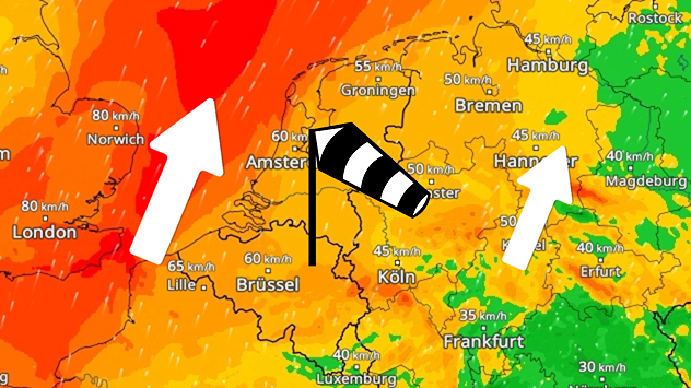 WindRadar für Sonntag