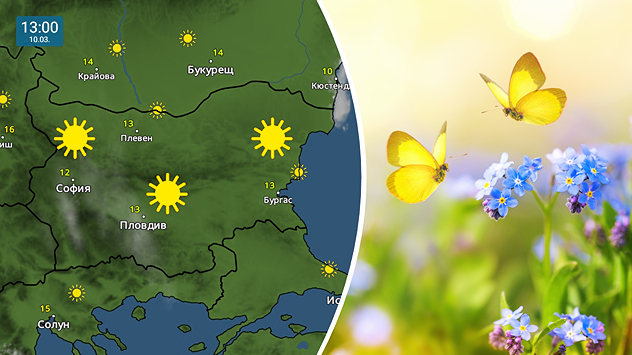 Отляво: Метеокартата показва слънчево време над страната във Вторник -10 март Отдясно: Снимка на пеперуди който летятат над цветя в слънчево време