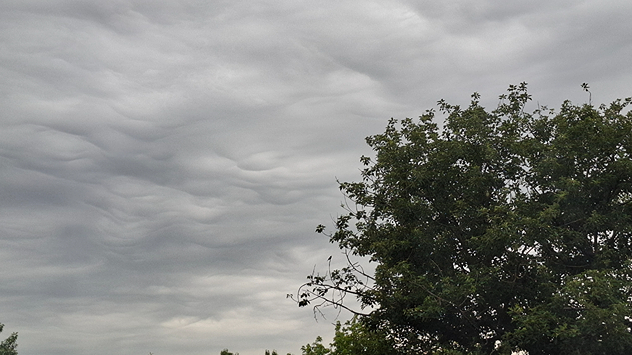 Die eher seltene Wolkenform sorgt fast immer für ein eindrucksvolles Himmelsbild.