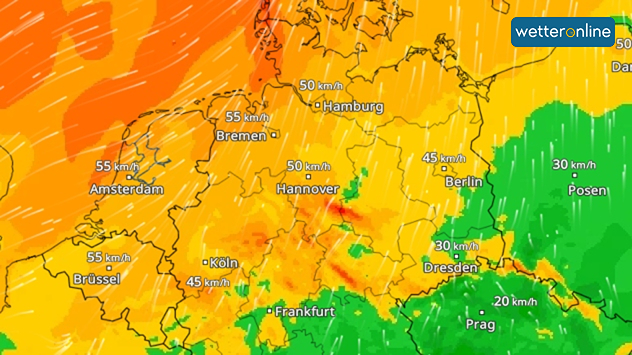 Wetterkarte mit Windgeschwindigkeiten in Deutschland: Im Norden und Westen teils um 50 bis 55 km/h, im Osten und Südosten schwächerer Wind.