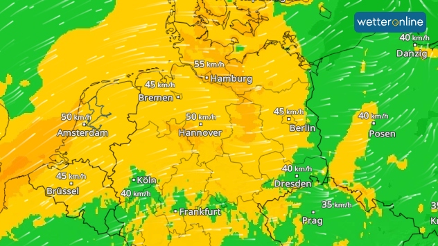 Wetterkarte von WetterOnline mit Windgeschwindigkeiten in Deutschland und angrenzenden Ländern. Große Teile Deutschlands sind gelb bis orange eingefärbt, was auf stärkeren Wind hinweist. Angezeigte Windgeschwindigkeiten liegen meist zwischen 40 und 55 km/h, darunter 55 km/h bei Hamburg, 50 km/h bei Hannover und Amsterdam sowie 45 km/h bei Bremen, Berlin und Brüssel. Östlich von Deutschland, unter anderem bei Danzig, Posen und Prag, sind grüne Bereiche mit etwas geringeren Windgeschwindigkeiten von etwa 35 bis 40 km/h dargestellt. Weiße Strömungslinien zeigen die Windrichtung. Im Südwesten und Süden Deutschlands treten vereinzelt grüne Niederschlagsgebiete auf.
