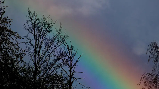 Nahaufnahme Regenbogen