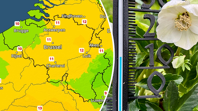Links een afbeelding van de TemperatuurRadar met temperaturen van 8 tot 12 graden boven België. Rechts een afbeelding van een thermometer met 12 graden daarop en een bloeiende bloem.