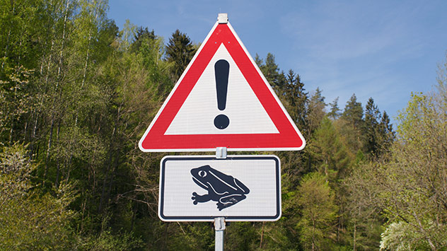 Warnschild vor Krötenwanderung