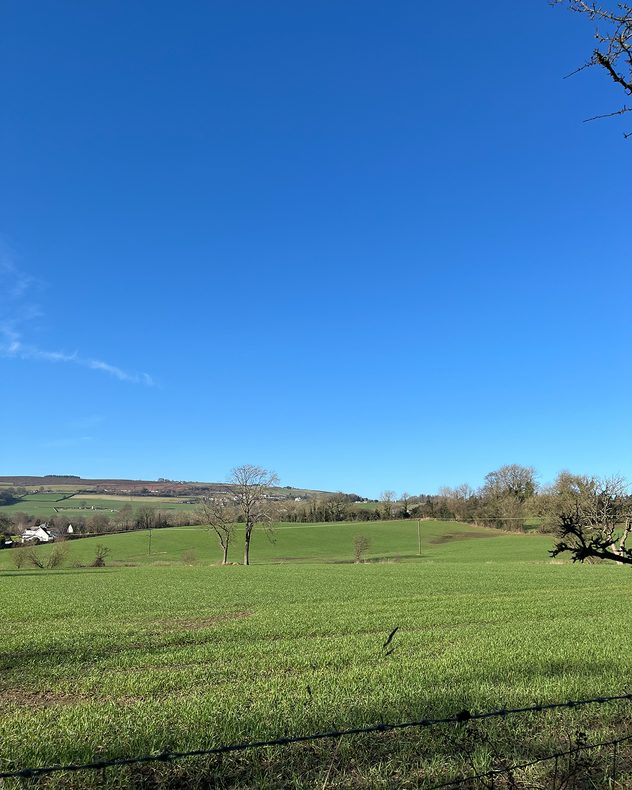 Rolling green farmland with scattered trees under a clear blue sky, hills rising in the distance. Caption: Clear skies over rolling countryside fields.
