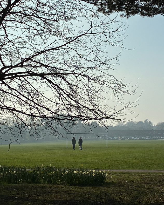 Rolling green farmland with scattered trees under a clear blue sky, hills rising in the distance. Caption: Clear skies over rolling countryside fields.