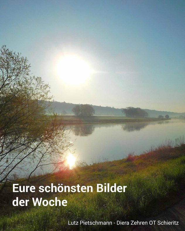 Morgenstimmung an der Elbe bei Meißen