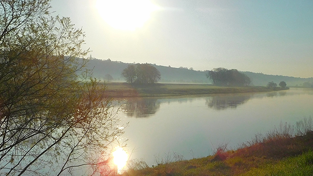 Morgenstimmung an der Elbe bei Meißen