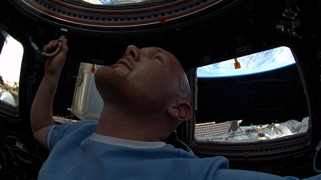 Gerst blickt zur Erde