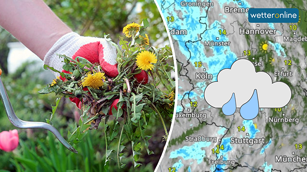 Unkraut wird gejätet - am besten nach dem Regen (WetterRadar)