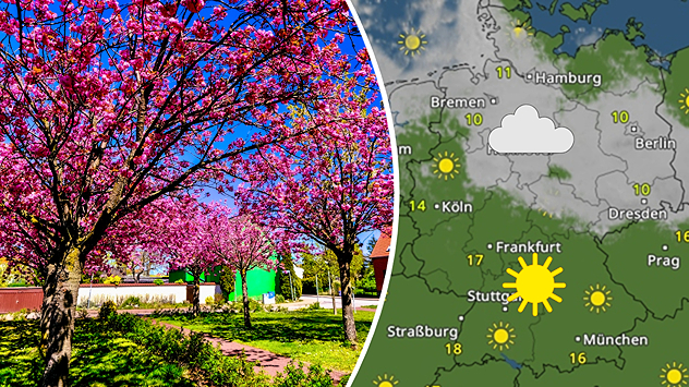 Geteilte Ansicht: Links blühende Bäume mit pinken Blüten unter blauem Himmel; rechts das WetterRadar mit Sonne, Wolken und 10–18 °C.