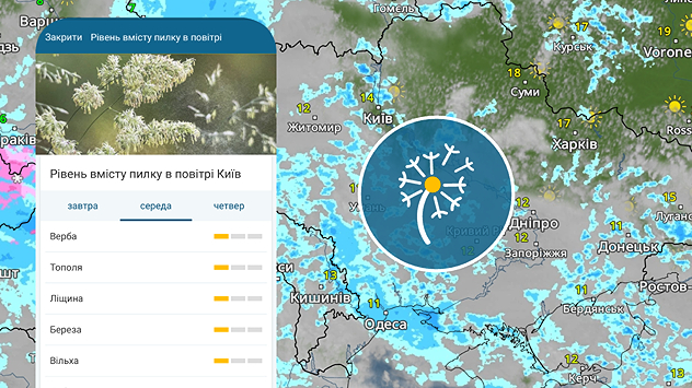 Прогноз пилку для Києва. Дощі в Україні.