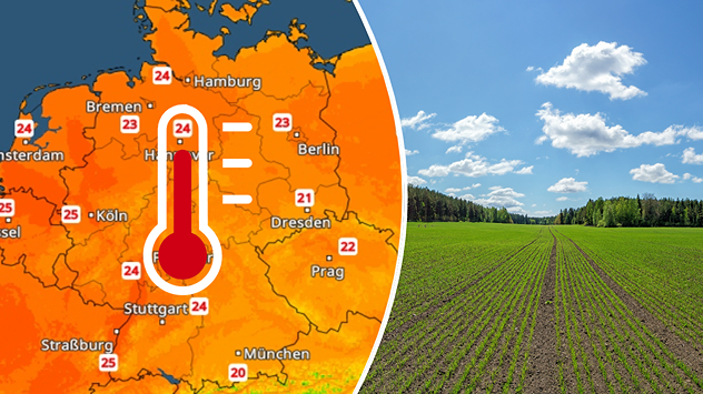 Entlang des Rheins gibt es heute wahrscheinlich einen Sommertag mit Höchstwerten um 25 Grad.