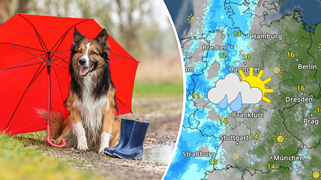 Geteilte Grafik: links ein Hund sitzt mit rotem Regenschirm neben Gummistiefeln, rechts eine WetterRadar-Karte von Deutschland mit Sonne-Wolken-Regen-Symbol.