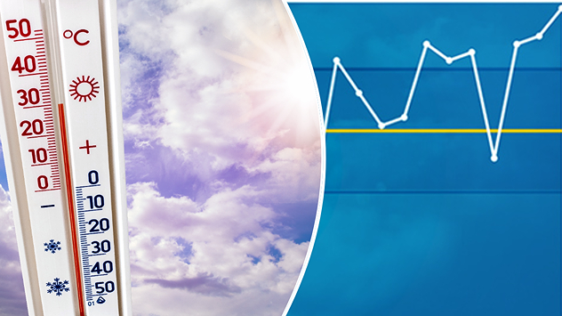 20241228_teaser-jahresrückblick