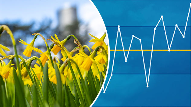 1ef436a6-c51c-6402-b2dc-759b7a6a7fef - © dpa Osterglocken in einem Park - Grafik mit Temperaturkurve