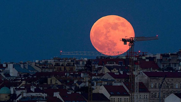 Tonight's harvest moon: the last supermoon of the year – Weather News