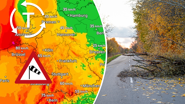 WindRadar mit Sturmwarnung (links) und umgestürztem Baum auf herbstlicher Straße (rechts).