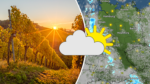 Links: Sonnenuntergang über herbstlichem Weinberg. Rechts: WetterRadar-Karte mit sonnigem Wetter über Nord- und Ostdeutschland, symbolisiert durch Sonne-Wolke-Icon.
