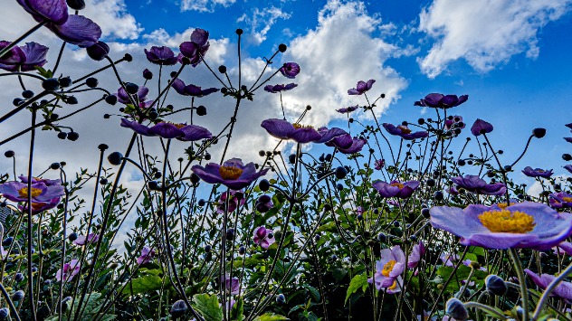 © Heinz-D. Fleck Warmes Sommerwetter