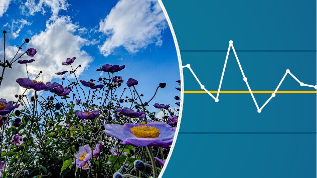 20240730_Ticker-Image-632×355 (4) - © links: Heinz-D. Fleck Durchschnittlicher Sommermonat