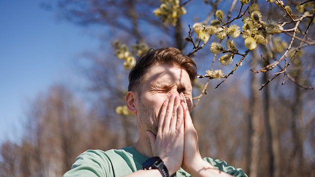 Mann mit Hände vor Mund und Nase unter blühendem Weidenbaum