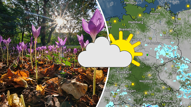 Links: Herbstzeitlose blühen auf buntem Laub im Wald, Sonnenstrahlen scheinen durch die Bäume. Rechts: WetterRadar-Karte zeigt viele sonnige Abschnitte in Norddeutschland, sonst wechselhaft – symbolisiert durch eine große Sonne-Wolke-Grafik.