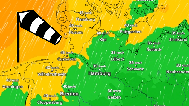 Windkarte für Norddeutschland mit 30–45 km/h. Stärkere Windfelder entlang der Nordsee. Schwächere Winde weiter im Binnenland.