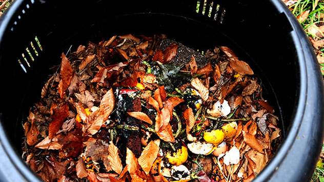 Eine Möglichkeit wäre zu kompostieren.