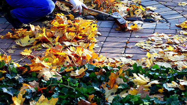 Lassen Sie im Gartenbeet das Laub ruhig liegen, aber verteilen Sie dies vorher gleichmäßig aufs Beet.