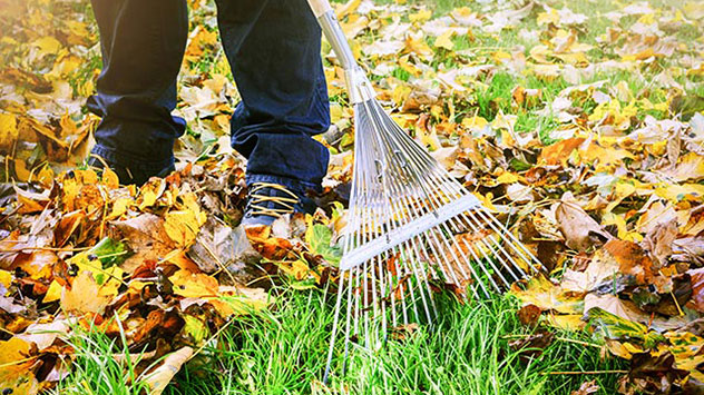 Kehren Sie lieber das Laub im Garten mit einem Rechen aus Metall zusammen. 
