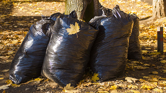 In einigen Regionen kann das Laub in speziell von der Gemeinde ausgegebenen Säcken gelagert werden. 