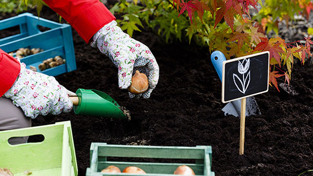 So wird der Garten winterfest