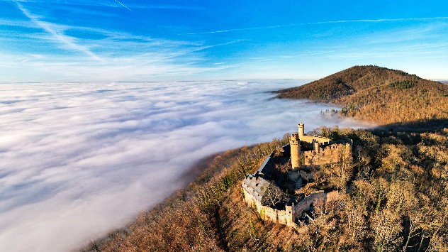 Nebel ist in den Herbst- und Wintermonaten ein häufiger Begleiter.