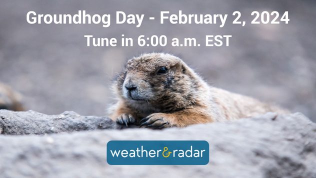 Click here to watch the live coverage on our Facebook page! 