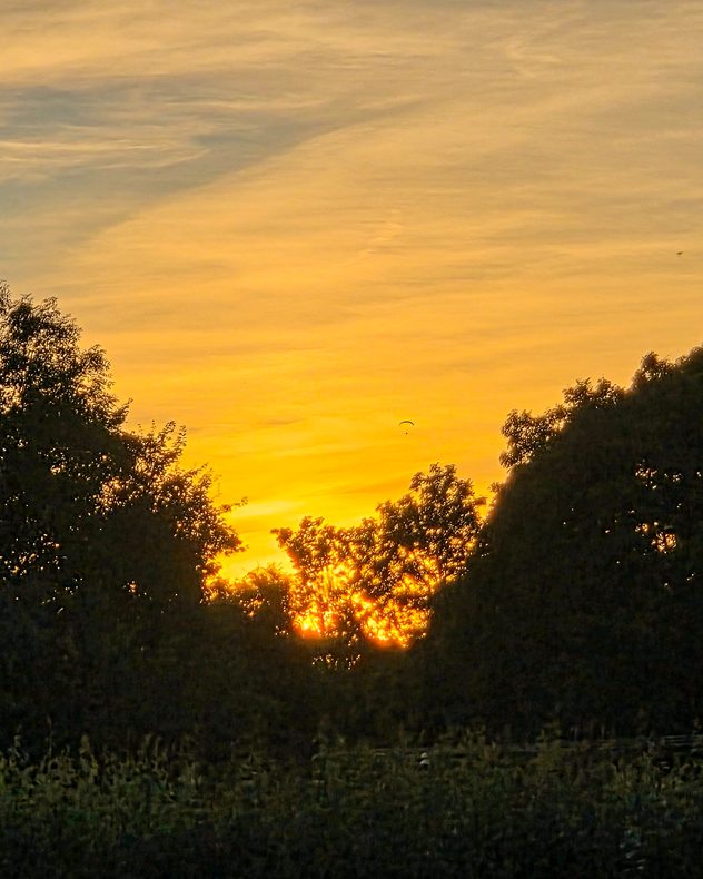 Golden sunset shining through silhouetted trees above a grassy park, with streaky high clouds across the sky and a paraglider visible against the glowing evening horizon.