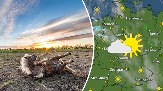 Geteilte Grafik: links ein Pferd wälzt sich auf einer Wiese in Prerow bei Sonnenuntergang, aufgenommen am 6. April 2026, rechts eine WetterRadar-Karte von Deutschland mit Sonne-Wolken-Symbol.