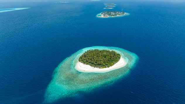 Small wooded island with a white beach and surrounding coral reef in the deep blue sea.