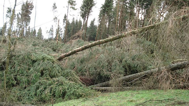 © Manuel Schütz Bilder der Zerstörung aus dem Wildpark bei Bad Marienberg.