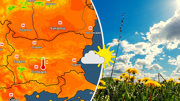 Отляво: Температурната карта показва високи максимални температури за страната в неделя: Отдясно: снимка на жълти глухарчета в полета и слънце с малко бели облачета