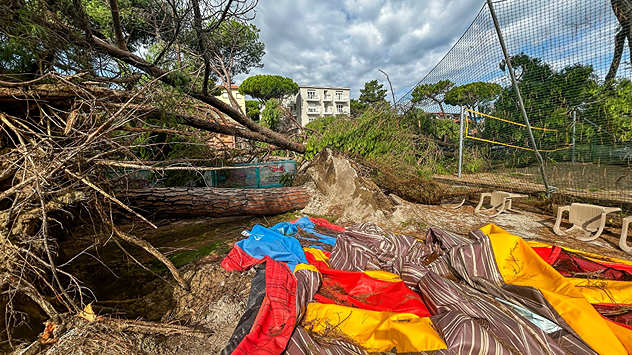 Uprooted trees lie across the ground in Milano Marittima
