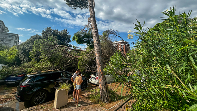 Two people look at fallen trees and damaged cars after a storm.