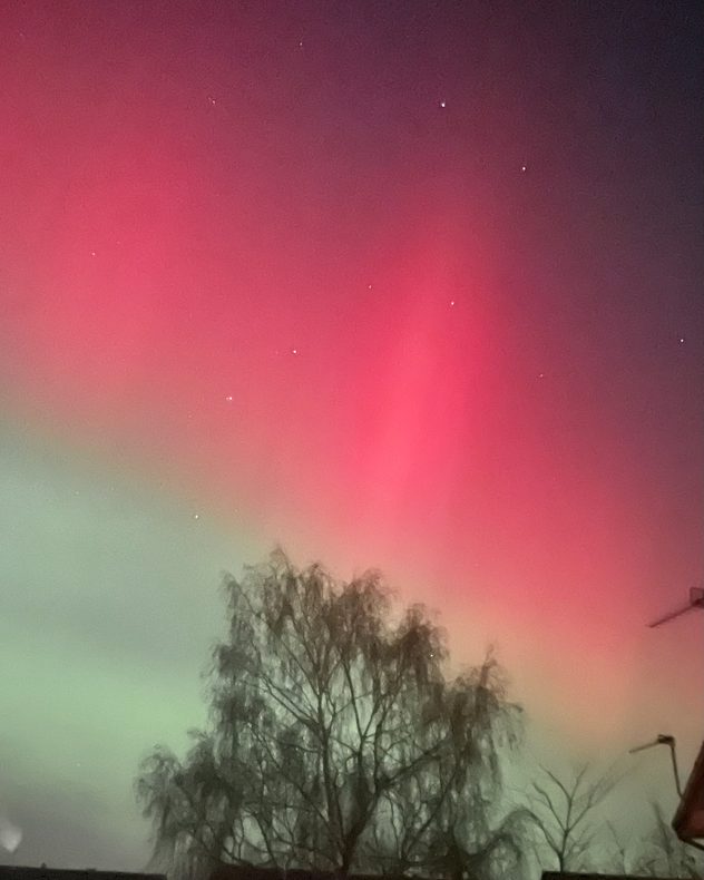 Night sky glowing with vivid red aurora above and soft green aurora below, dotted with small stars and framed by the silhouette of a leafless tree and rooftops at the bottom.