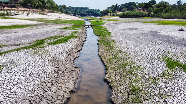 Ein Seitenarm des Amazonas in Rio Negro in Brasilien trocknet fast komplett aus. 