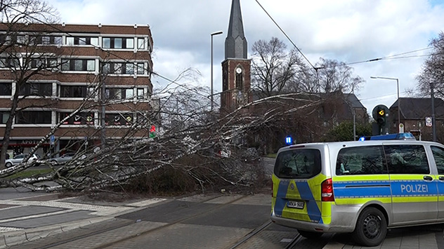 Baum liegt auf der Oberleitung der Krefelder Straßenbahn